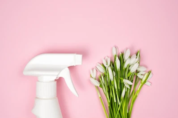 clean-leather-Product.webp clean leather-Product